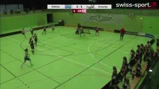 150404 UHC Dietlikon vs Skorpions Emmental Zollbrück Playoff Halbfinals Spiel 3 Highlights [upl. by Eibrab900]