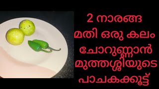 2 നാരങ്ങയും പച്ചമുളകും മതി ഒരു കലം ചോറുണ്ണാൻ  Lemon Ozhichu Curry Malayalam  Cherunaranga Curry [upl. by Edvard390]