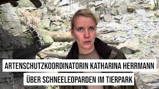 23102024 Berlin Artenschutzkoordinatorin Katharina Herrmann über Schneeleoparden im Tierpark NABU [upl. by Eissoj223]