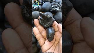 Shaligram different types of shaligram shila  gandaki river shaligram 💐💐shorts short shortsfeed [upl. by Aniv]