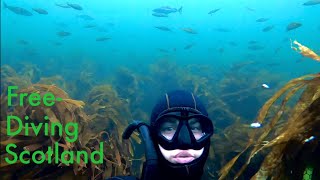 Snorkeling and freediving at Findochty North Scotland [upl. by Hoon924]