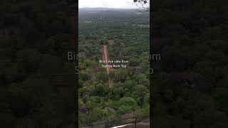 shorts Birds eye view from Sigiriya Rock Top [upl. by On]