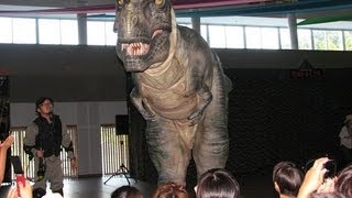 恐竜ライブ DINOSAUR LIVE SHOW TYRANNOSAURUSampRAPTOR [upl. by Emilee837]