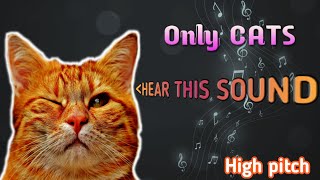 SOUND that ONLY CATS can HEAR High Pitch Sound Only Cats Can Hear Cat Sound 😽Cat Reaction [upl. by Notsa]