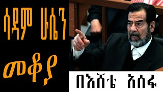 Sheger Mekoya  Saddam Hussein ሳዳም ሁሴን “ከበረሐው ጋሻ ወደ በረሐው ማዕበል ዘመቻ ከመከላከል ወደ ማጥቃት”  መቆያ በእሸቴ አሰፋ [upl. by Notyalc]