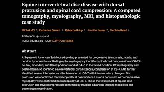 14 Equine intervertebral disc disease with dorsal protrusion and spinal cord compression [upl. by Silvano]