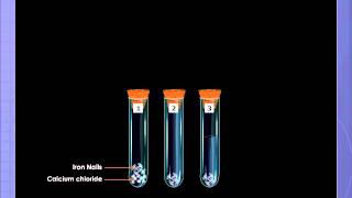 Rusting of iron CBSE 12 chemistry [upl. by Nani]