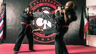 Kajukenbo  Hawaiian Hybrid Martial Art [upl. by Maleeny]