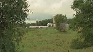 Owner Of Farm Where Wetterling Was Found Speaks Out [upl. by Norad430]