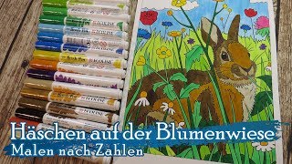 Häschen auf der Blumenwiese 🐇🍀  Malen Nach Zahlen für Erwachsene  Speed Paint  Ostermontag [upl. by Aneehc]