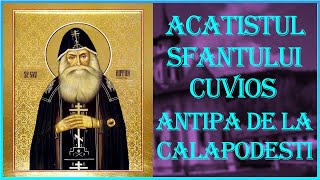 Acatistul Sfantului Antipa de la Calapodesti [upl. by Odnamla]