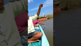 Thundi pottu puditha meen 🤟🎣 meenavan kmmeenavan mokaraimeenavan fishing [upl. by Ignacius]