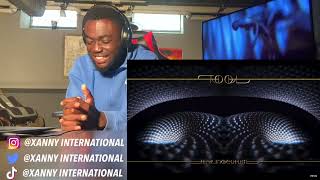 ADAM STOLE THE SHOW ON THIS ONE TOOL  7empest Audio  REACTION [upl. by Ribal]