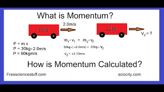 How To Calculate Momentum With Examples [upl. by Kevon]