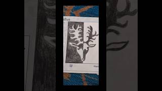 Barasingha drawing ✨️ in black and white style  barasingha drawing trending drawing tutorial [upl. by Furiya]