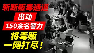 追击毒枭！出动150余名警力 贩毒网络被连根拨除！【国际禁毒日特别节目】 [upl. by Hamehseer]