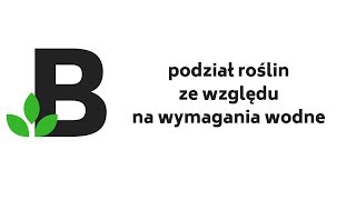 Podział ROŚLIN ze względu na wymagania wodne Ekologia  KOREPETYCJE z BIOLOGII  126 [upl. by Mahau]