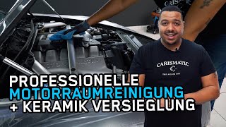 Professionelle Motorraumreinigung mit Keramik Versieglung [upl. by Moore]