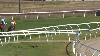 Townsville 20241105 Race 5 [upl. by Leamsi]