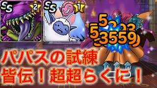 【DQMSL】パパスの試練 皆伝が超楽に⁉️ 闇の王は無星でもOK🙆‍♀️ [upl. by Gambrell6]