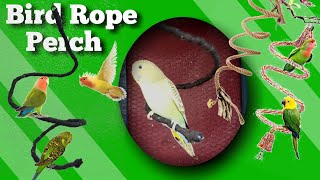 Bird Rope Perch  How to make cheap rope perch 2021 [upl. by Euqinwahs468]