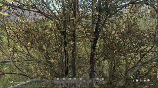 DayZ Test 11 AV1 1080p60 [upl. by Niltyak]