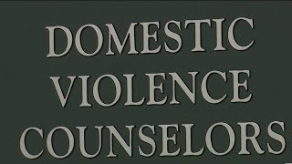 Harbor House introduces new model to reduce domestic violence deaths [upl. by Eedrahc]