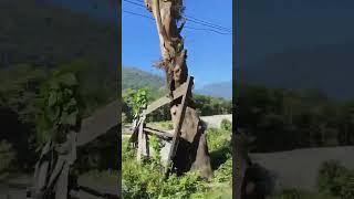 travel nature love viralvideo shorts s [upl. by Tutt22]