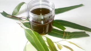 How to Make Eucalyptus oil for Hair Skin amp Cold [upl. by Constancy703]