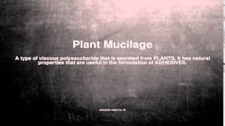 Medical vocabulary What does Plant Mucilage mean [upl. by Litsyrk]