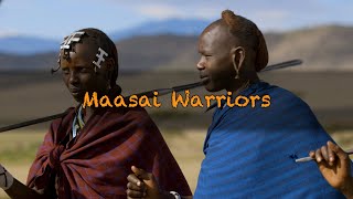 Maasai Warriors [upl. by Arhez915]