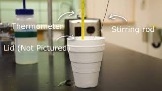 Coffee Cup Calorimetry [upl. by Catlin]