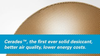 Cerades™ the first ever solid desiccant transforming air dryer design and performance [upl. by Ziom]