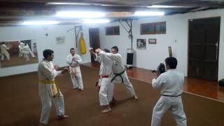 Naihanshi Nidan Bunkai  Shorin Ryu KarateDo [upl. by Nosydam]