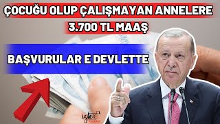 Ã‡OCUÄU OLUP CALIÅMAYAN ANNELER EV HANIMLARI 3700 TL MAAÅ BAÅVURULAR E DEVLETTE [upl. by Yeniar]