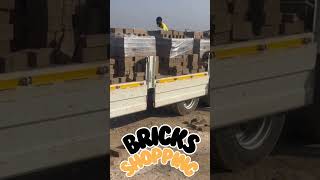 Bricks Shopping villagehouse villagebuilding shortvideo [upl. by Zelten]