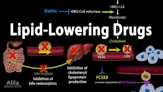 How do beta blockers work [upl. by Eissahc]