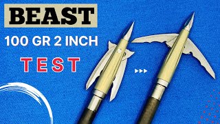 BEAST by BOWMAR 100 gr 2quot Broadhead Test [upl. by Etyam]