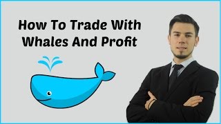 How To Trade With Whales And Profit On Poloniex [upl. by Bigg740]