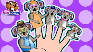 Finger Family Koalas  Teach English to Children Fun Learning Song Kindergarten Daycare Video [upl. by Conal]