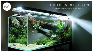 IAPLC 2023 Aquascaping Process  How We Designed 120cm Echoes of Eden [upl. by Coleman173]