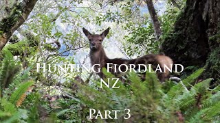 HUNTING FIORDLAND NZ  PART 3 South Island Roar hunt for Red Deer Pigs Epic scenery amp Adventure [upl. by Abbotsun]