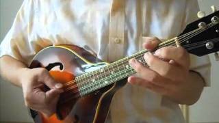 The Road to Lisdoonvarna on Gibson A50 mandolin【irish】 [upl. by Iaj138]