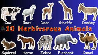 Herbivores Animals  Learn Herbivorous Animals Name  Plant eater animals name  farm animals [upl. by Hoem19]