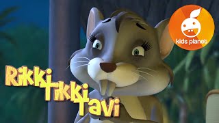 RIKKI TIKKI TAVI Episode 5  cartoons for kids  stories for children  Jungle book by R Kipling [upl. by Allecram]