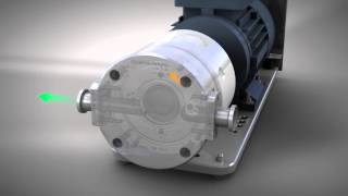 How a Quaternary Diaphragm Pump Works [upl. by Vikki]