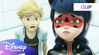 Miraculous World London At The Edge Of Time  Ladybug Tells Adrien  disneychannel [upl. by Bax967]