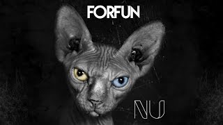 Forfun  Coisa Pouca [upl. by Aeel]