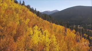 09262021 Breckenridge CO Epic Aspen Fall Colors in Colorado [upl. by Farlie]