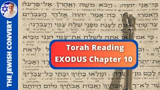 Exodus Chapter 10  Torah Reading in Hebrew with English Translation  TORAH STUDY [upl. by Kary273]